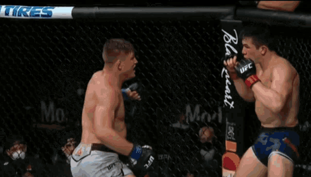 two men are fighting in a cage and one has ufc written on his gloves