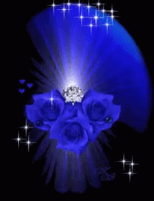 Roses Blue Light GIF - Roses Blue Light Blink GIFs