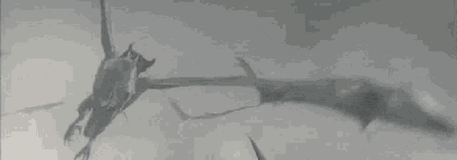 a black and white photo of a statue of a dragon flying through the air .