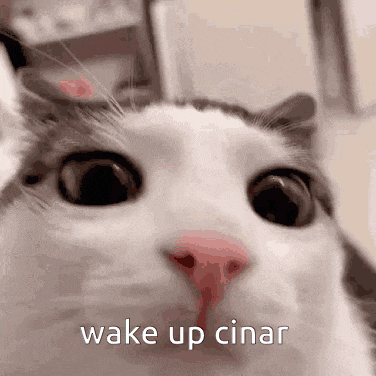 a close up of a cat 's face with the words wake up cinar written above it