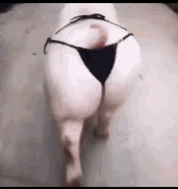 Booty Ass GIF - Booty Ass Piggy GIFs
