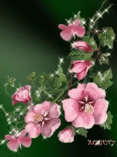 Pink Flowers GIF - Pink Flowers Illuminating GIFs