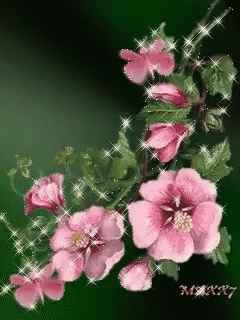 a bunch of pink flowers with green leaves on a dark green background