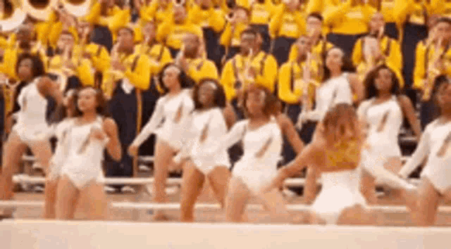 a group of cheerleaders are dancing in front of a crowd in a stadium .