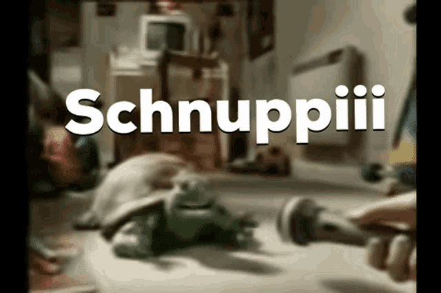 the word schnuppii that is on a cartoon