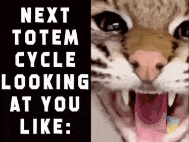 next totem cycle looking at you like : big up