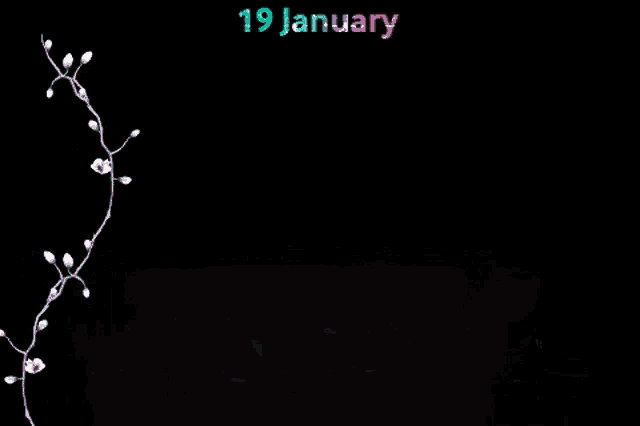 a black background with white flowers and the words 19 january