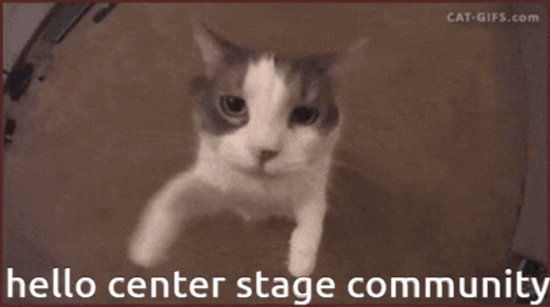 Center Stage GIF