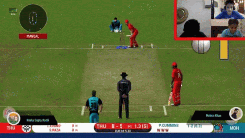 Real Cricket Real Cricket20 GIF - Real Cricket Real Cricket20 Video Game GIFs