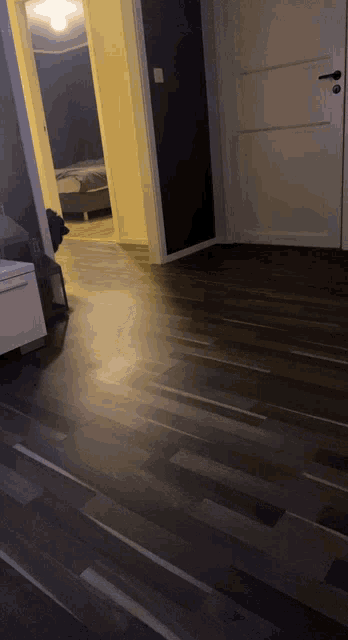 Dog Vacuum Cleaning Dog GIF - Dog Vacuum Cleaning Dog Sweep The Floor GIFs