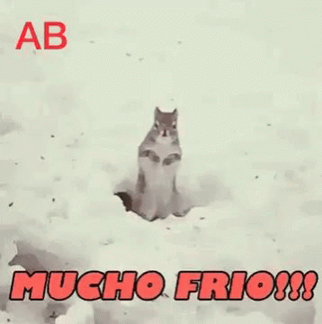 Me Mucho GIF - Me Mucho Very Cold GIFs