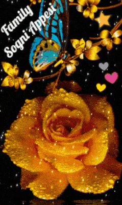 a picture of a yellow rose with a butterfly and the words family sogni appesi on the bottom