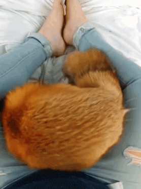 a cat laying on a person 's lap with their feet visible