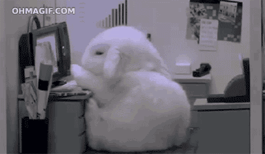 a white stuffed animal is sitting in front of a computer screen with the website ohmagif.com visible in the corner