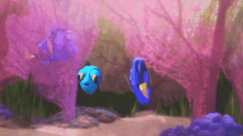 a blue fish is swimming in a coral reef