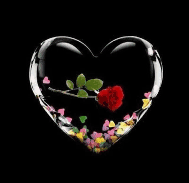 a heart shaped glass container with a red rose inside of it surrounded by hearts .