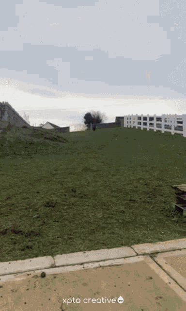 a picture of a grassy field with the words xpto creative on the bottom right