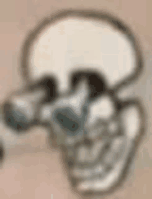 a close up of a skull holding a gun in its hand .