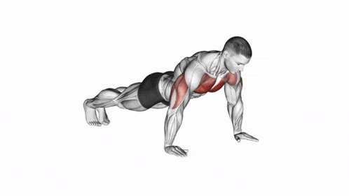 a man is doing push ups with muscles highlighted