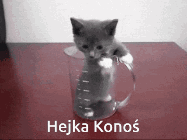 Hejka Konos GIF - Hejka Konos GIFs
