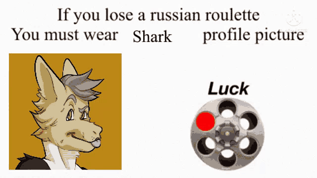 a picture of a furry animal next to the words if you lose a russian roulette you must wear shark