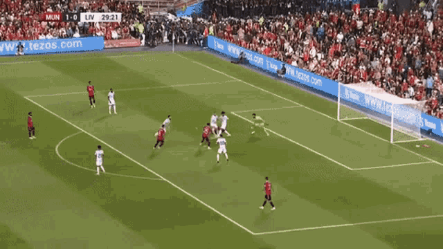 Fred Manchester United GIF - Fred Manchester United Liverpool GIFs
