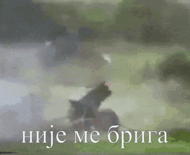 a gray background with the words nije me briga written in white