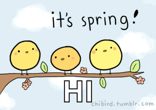 a drawing of three yellow birds on a branch with the words it 's spring hi