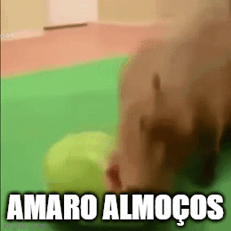 Amaroalmocos Rubenalmocos GIF - Amaroalmocos Rubenalmocos Amaro Almocos GIFs