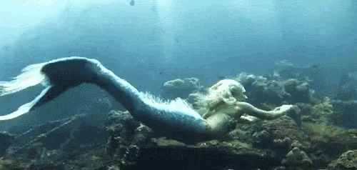 a mermaid is swimming in the ocean surrounded by corals .