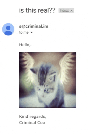 an email with a picture of a cat with wings and the words " is this real " at the top