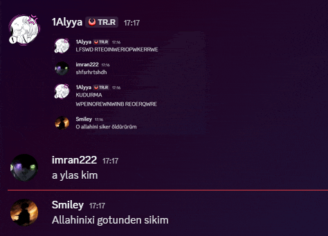 a screenshot of a conversation between 1allya and smiley at 17:17