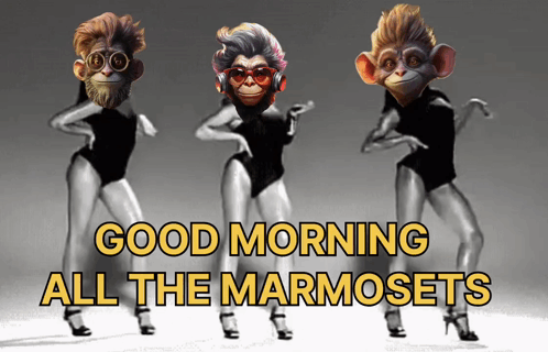 Gm Good Morning GIF - Gm Good Morning Marmosetclub GIFs