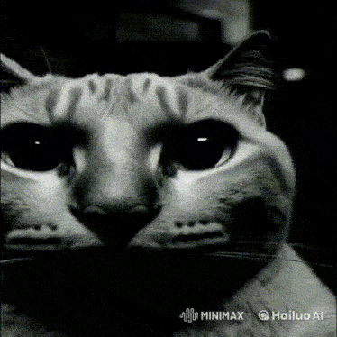 a black and white photo of a cat with the words hailuo ai on the bottom right