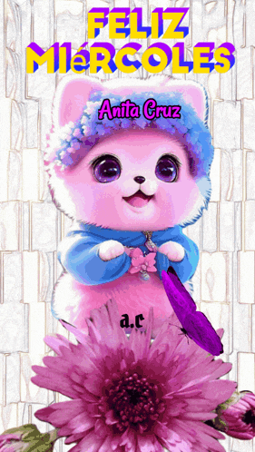 a pink cat with a blue hat says feliz miercoles on it