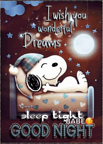 a picture of snoopy laying in bed with the words " i wish you wonderful dreams sleep tight babe good night "