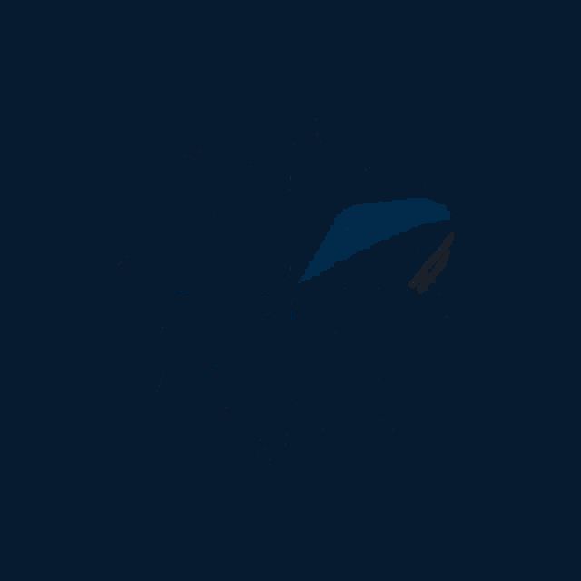 a blue and orange flower with a dark background