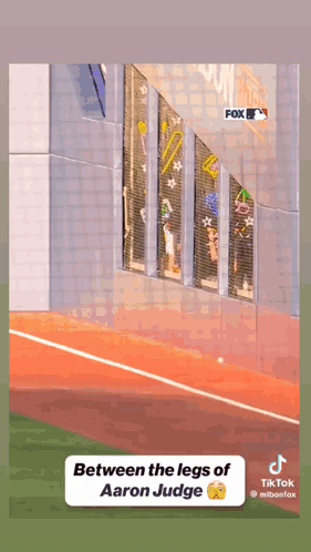 between the legs of aaron judge is written on a tiktok video