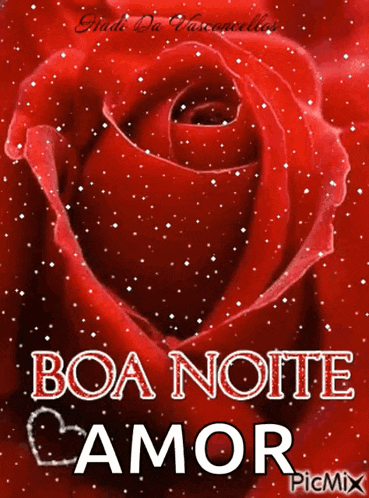a picture of a red rose with the words boa noite amor on it