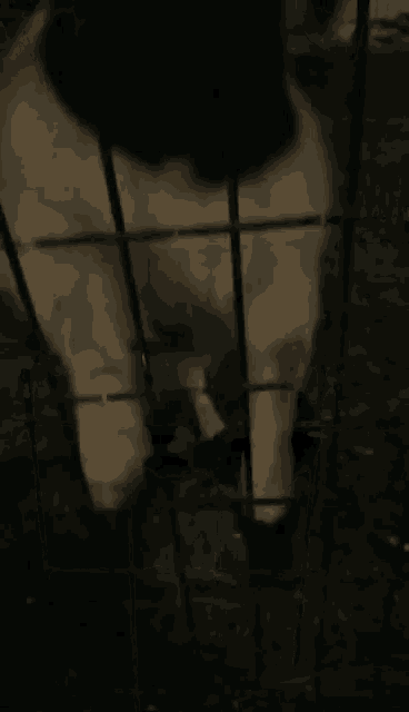 a close up of a person 's face behind a fence .