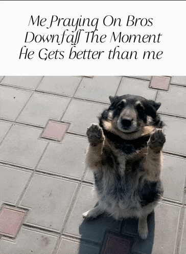 a dog standing on its hind legs with the words me praying on bros downfall the moment he gets better than me