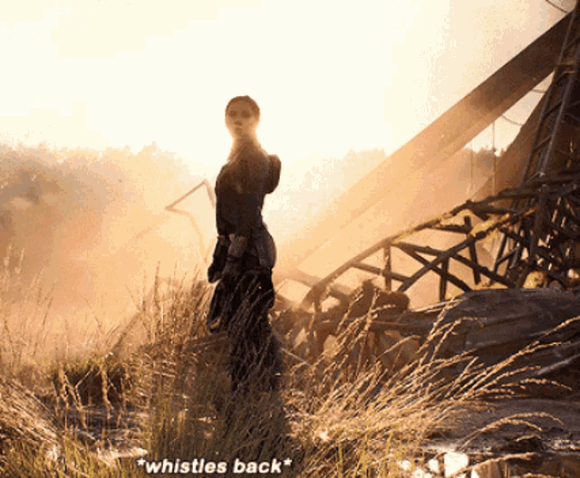 a woman standing in a field with the words " whistles back " on the bottom right