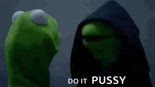 kermit the frog is wearing a hooded jacket and talking to a puppet .