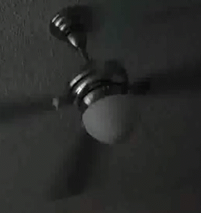 Fan Spinning GIF - Fan Spinning Ceiling Fan GIFs