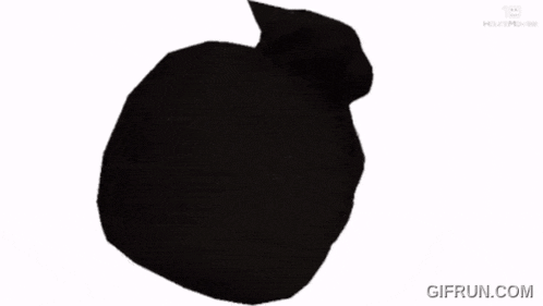 a black and white cat with a gif run.com watermark
