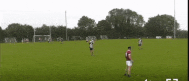 a group of soccer players are playing on a field and one player has the number 7 on his shirt