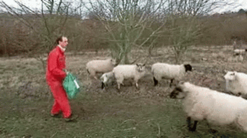 Sheeple Charge Attack GIF - Sheeple Charge Sheep Attack GIFs
