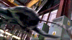 a shark is swimming in a room with a yellow warning sign