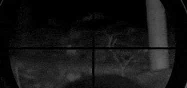 a sniper is looking through a scope at a deer in the dark .