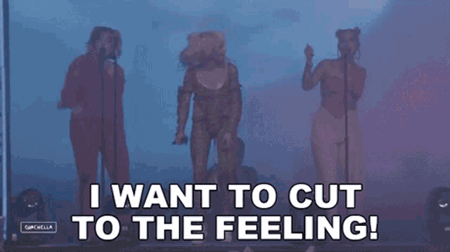 I Want To Cut To The Feelings Carly Rae Jepsen GIF - I Want To Cut To The Feelings Carly Rae Jepsen Coachella GIFs